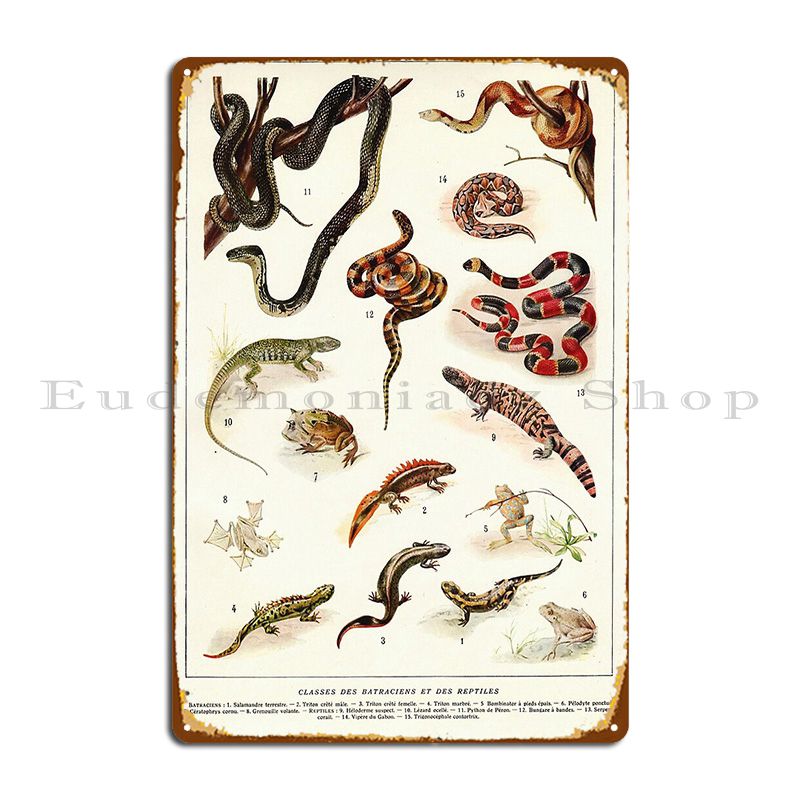 Home Cinema Wall Design - Adolphe Millot-Affiche de Zoologie Vintage en