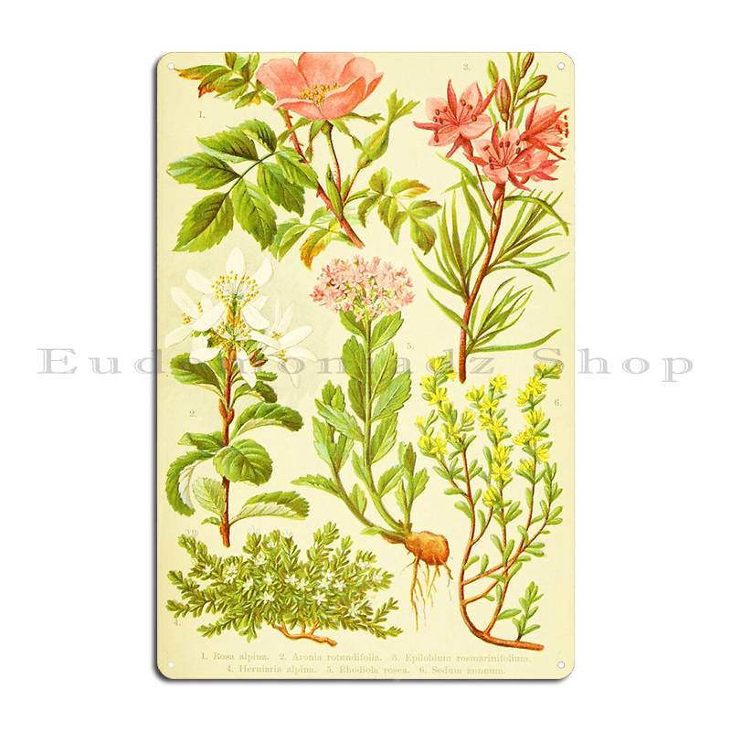 Hd Vintage Bouquet fleuri Desi - Home Cinema Wall Design avis et prix