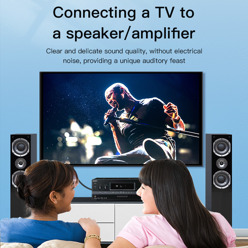 Câble RCA CHOSEAL, câble audio - Home Cinema Idea avis et prix